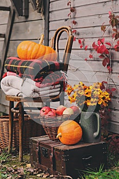 Fall at country house. Seasonal decorations with pumpkins, fresh apples and flowers