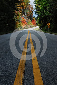 Fall Country Road