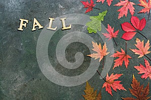 Fall. Creative autumn layout, colorful autumn leaves on a dark rustic background and the word of wooden letters-fall. Top view,