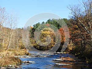 Fall Creek in Autumn flows through Forest Home Drive Cornell University