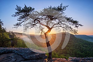 Fall Creek Falls, sunburst, Buzzards Roost