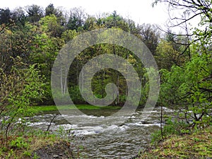 Fall Creek runs fast and full after spring rains at Cornell University ithaca NYS photo
