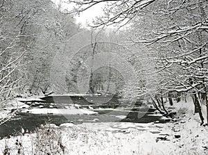 Fall Creek after winter snowstorm in Ithaca NYS near Cornell Botanic Gardens