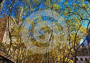 Fall day in Bryant Park NYC