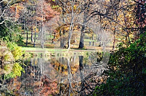 A fall day at the Morton Arboretum with reflections in Lake Marmo.