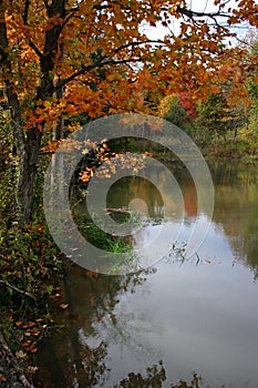 A Fall Day by the Pond