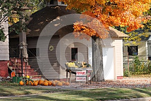 Fall Day in Wisconsin