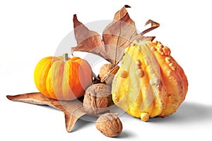 Fall decoration photo