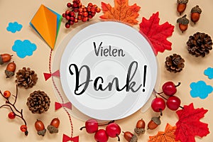 Fall Decoration, Autumn Leaves and Kite, With Text Vielen Dank