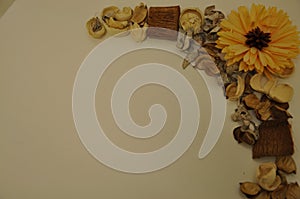 Fall decoration dried trinkets and nut shells frame on white