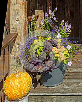 Fall decorations on front entrance steps with flowers and orange warty pumpkin