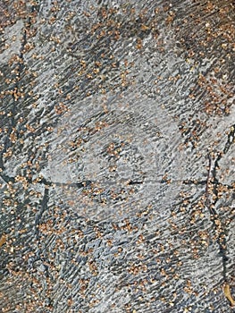 Fall, dirty, park, cracked, cement, concrete, wet, mossy, texture and background