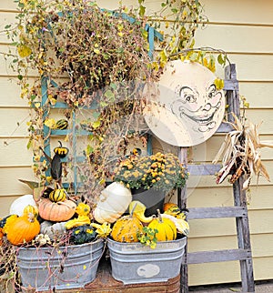 Fall Display, Gourds, Moon and Ladder with Vines