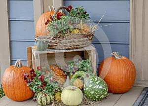 Fall display with gourds and pumpkins