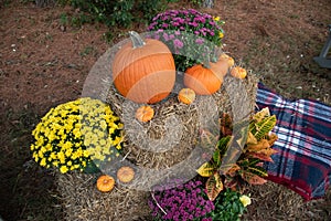 Fall Display with Pumpkins, Flowers, and Flannel