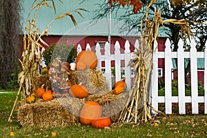 Fall Display by White Picket Fence