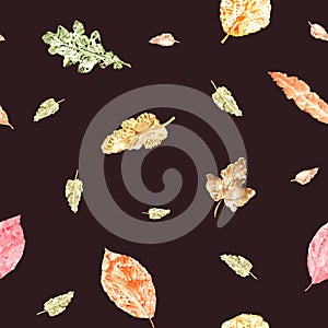 Fall dried leaves imprints isolated on dark background. Autumnal seamless pattern for room decoration, textile, print, wrapping,