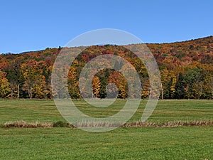 Fall in the Eastern Townships