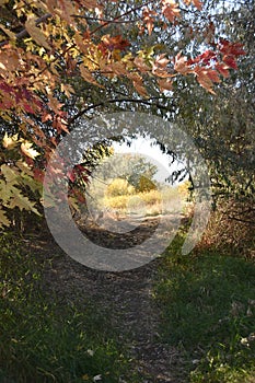 Fall Fairyland Bike Trail at Chamna Reserve, Richland, WA