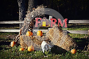 Fall Farm Display