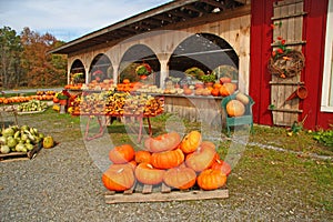 Fall farm stand Bennington Vermont