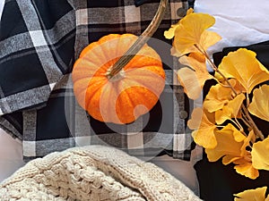 Fall fashion flat lay - flannel shirt and pumpkin