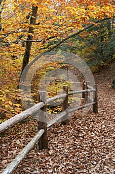 Fall Fence