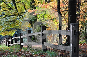 Fall fence