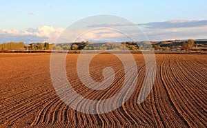 Fall Field Prep