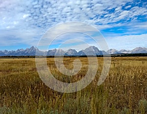 Fall Field With View of the Grand Tetons