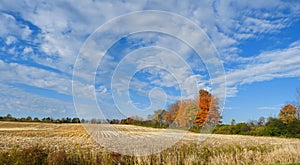 Fall in FingerLakes Farm Country photo