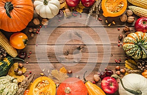 Fall flat lay composition frame, with various autumn pumpkins, vegetables, fruits and copy space on wooden background.