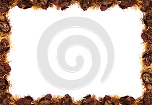 Fall Floral Border