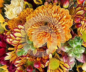 Fall Floral Centerpiece with Mums and ornamentals