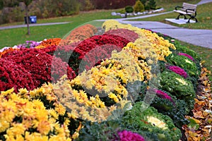 Fall flower arrangement in Edwards Garden