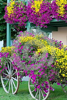 Fall Flower Wagon Display