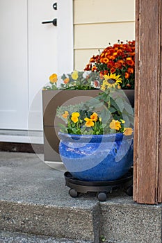 Fall flowers decorate the front door stoop of a house.