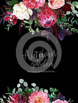 Fall flowers vector design frame. Protea flower, peachy coral garden rose, burgundy red astilbe