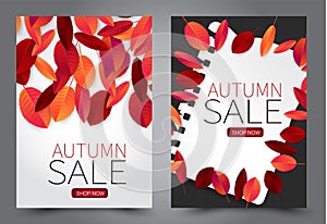 Fall flyer set. Vectical banner with red and orange leaves. Autumn sale end of season promo template.