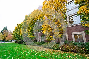 Fall Foilage at University of Oregon photo