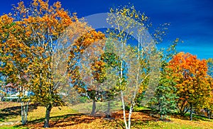 Fall Foliage across the rolling hills of Vermont. Peak fall color on a beautiful sunny day in New England