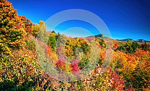 Fall Foliage across the rolling hills of Vermont. Peak fall color on a beautiful sunny day in New England