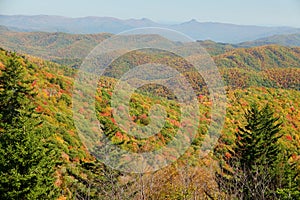 Fall in Mt. Mitchell, area Yancey County, North Carolina, United States photo