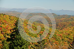 Fall in Mt. Mitchell, area Yancey County, North Carolina, United States photo