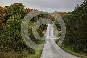 Fall foliage along rural drive in Michigan with overcast sky photo