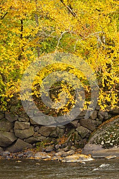 Fall foliage along the Sugar River in Newport, New Hampshire