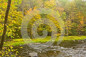Fall foliage along the Sugar River in Newport, New Hampshire