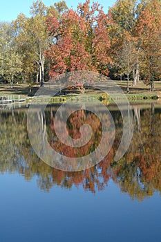 Fall foliage along waterfront