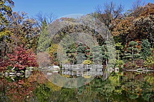 Fall Foliage at Anderson Japanese Garden #14