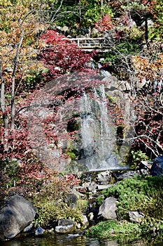 Fall Foliage And at Anderson Japanese Garden #3